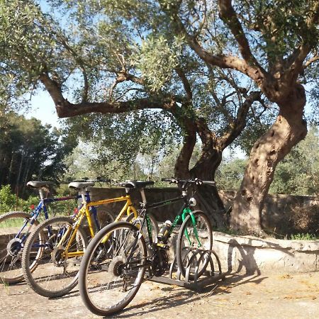 Villa Relax Martina Franca Ngoại thất bức ảnh