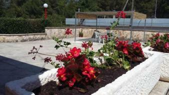 Villa Relax Martina Franca Ngoại thất bức ảnh