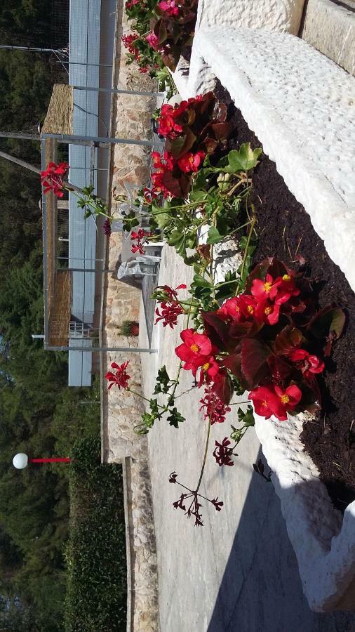 Villa Relax Martina Franca Ngoại thất bức ảnh